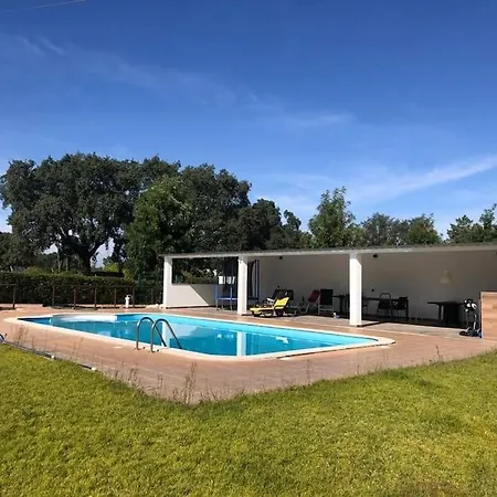 Quintinha Azeitona Moita (Setubal)